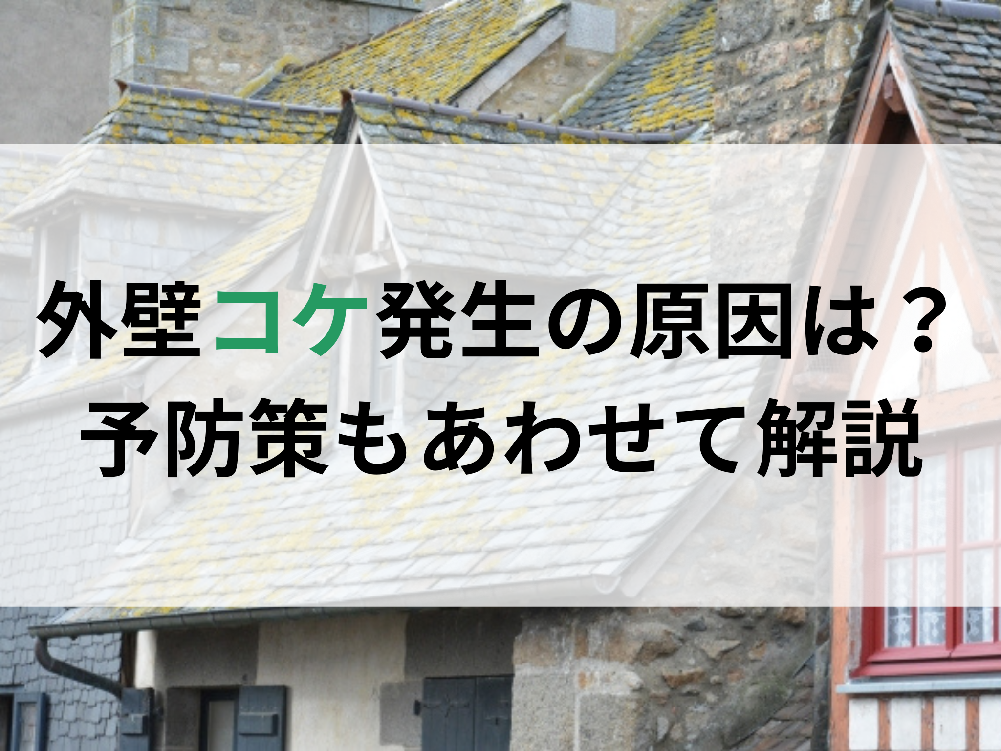 外壁コケ発生の原因は？予防策もあわせて解説 アイキャッチ画像